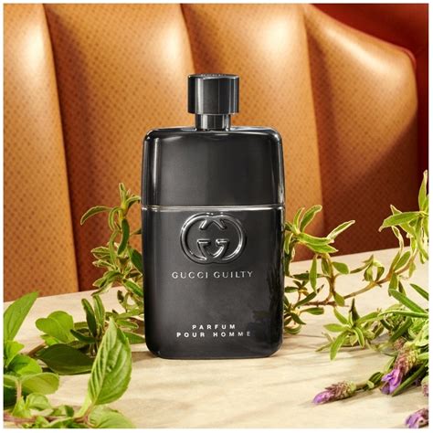 gucci guilty pour homme mens|Gucci Guilty Pour homme fragrantica.